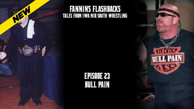 Fannin's Flashbacks - Bull Pain