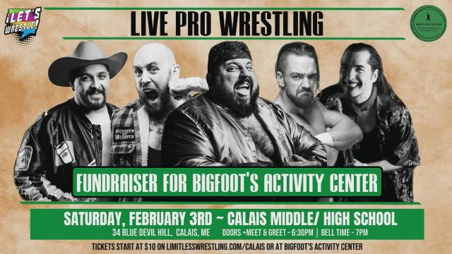 Let's Wrestle LIVE at Calais