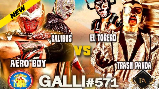 GALLI Lucha 571