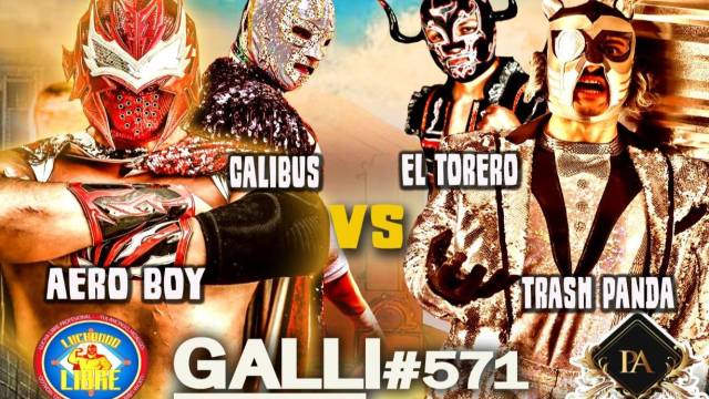 GALLI Lucha 571