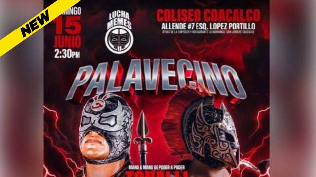 Lucha Memes - Palavecino