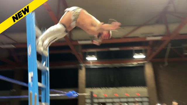 Zero1 USA - Zero1 USA Jr Heavyweight Championship, TLC Match: Sabin Gauge vs Jake Lander vs Jimmy Karryt vs Victor Analog