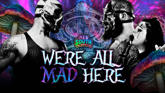 New South - We're All Mad Here 2024